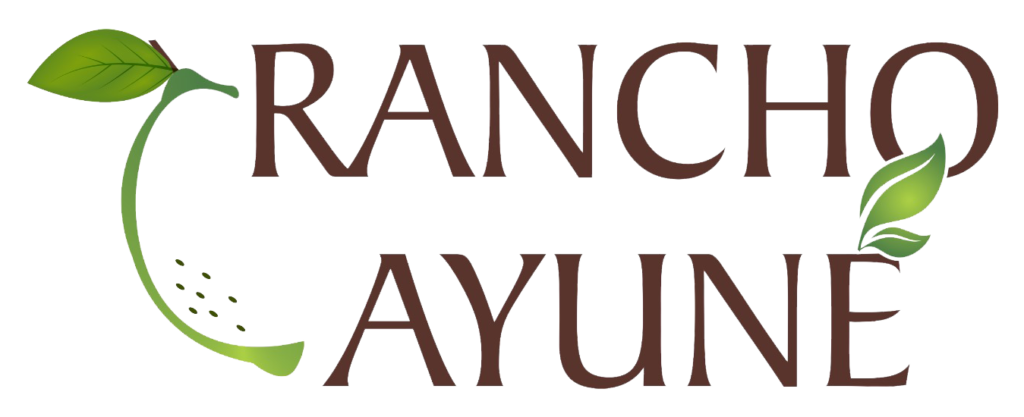 Rancho Ayune