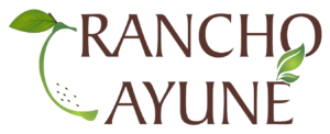 Rancho Ayune